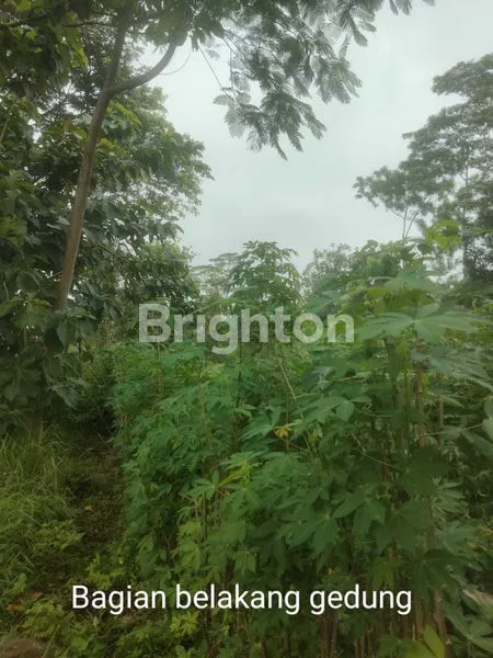 image INVESTASI STRATEGIS, \NTANAH DAN BANGUNAN EKS SEKOLAH, DI PUSAT KOTA KLATEN  (8)