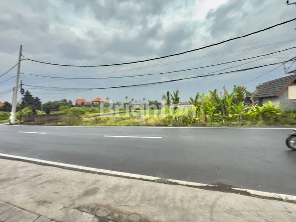 image TANAH STRATEGIS 4 ARE DI MUNGGU SESEH, DEKAT PANTAI (2)