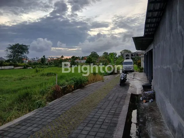 image SEWA TANAH STRATEGIS DI SESEH, DEKAT PANTAI (2)
