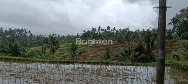image TANAH SIAP BANGUN DENGAN VIEW SUNGAI DI PENEBEL (2)