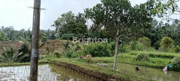 image TANAH SIAP BANGUN DENGAN VIEW SUNGAI DI PENEBEL (1)