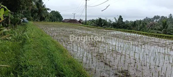 image TANAH SIAP BANGUN DENGAN VIEW SUNGAI DI PENEBEL (6)