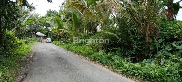 image TANAH SIAP BANGUN DENGAN VIEW SUNGAI DI PENEBEL (3)