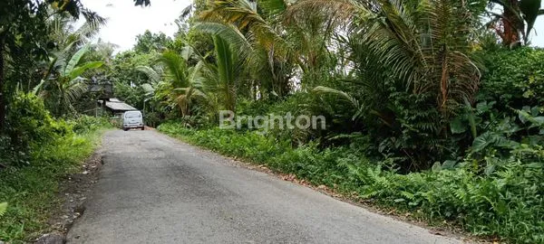 image TANAH SIAP BANGUN DENGAN VIEW SUNGAI DI PENEBEL (4)