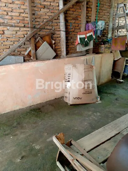 image 300 JUTA RUMAH DI TEMBUNG  (7)