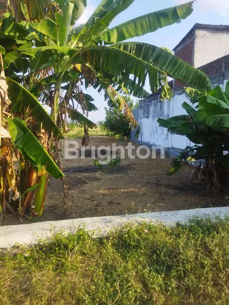 image TANAH SHM 347M² DI JALAN RAYA BALONGPANGGANG, GRESIK (1)