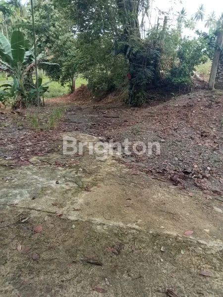 image TANAH 32.000 M² DI PANCUR BATU, IDEAL UNTUK PERUMAHAN & PERKEBUNAN (5)