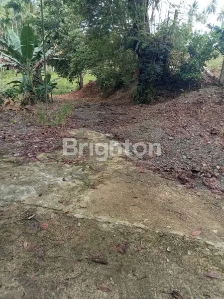 image TANAH 32.000 M² DI PANCUR BATU, IDEAL UNTUK PERUMAHAN & PERKEBUNAN (2)