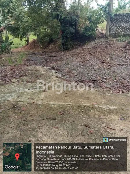 image TANAH 32.000 M² DI PANCUR BATU, IDEAL UNTUK PERUMAHAN & PERKEBUNAN (6)