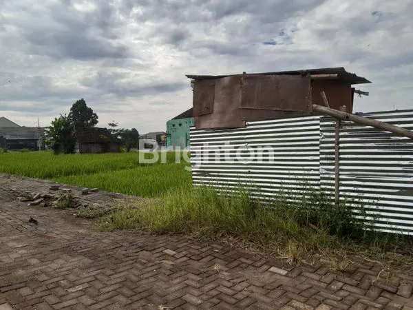 image TANAH SIAP BANGUN AREA MAHASISWA DEKAT KAMPUS UB-UMM-UIN- UNM-UNISMA MALANG (8)