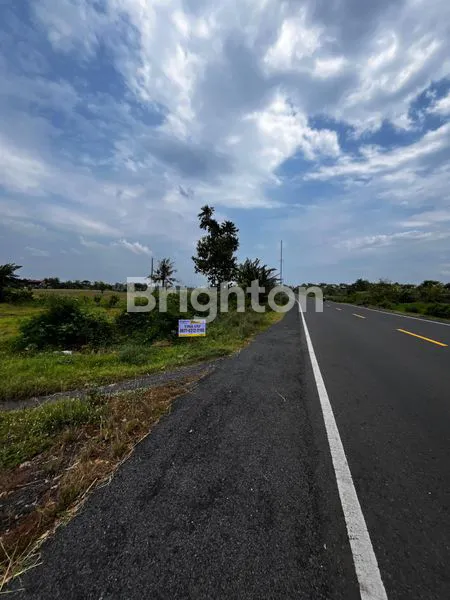 image TANAH SHM 2168M² + RUMAH, PELUANG INVESTASI MENGUNTUNGKAN (2)