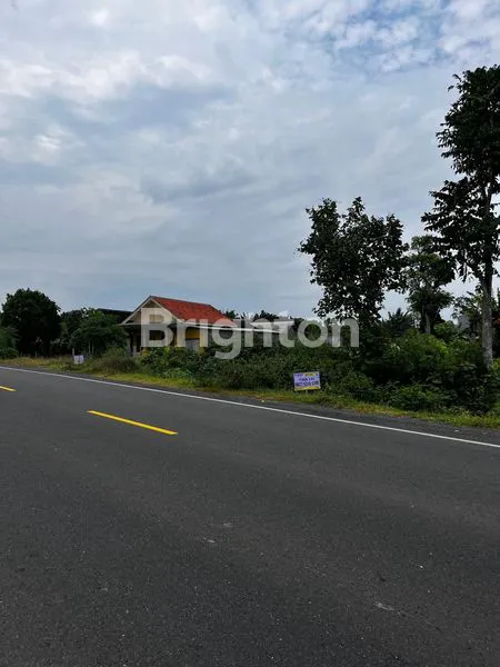 image TANAH SHM 2168M² + RUMAH, PELUANG INVESTASI MENGUNTUNGKAN (5)