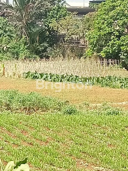 image TANAH LUAS SANGAT STRATEGIS DI PINGIR JALAN RAYA PARUNG (7)