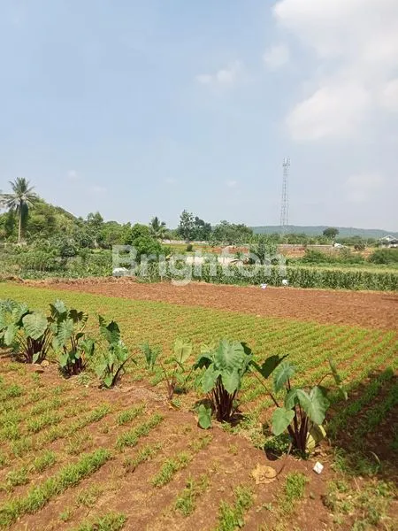 image TANAH LUAS SANGAT STRATEGIS DI PINGIR JALAN RAYA PARUNG (5)