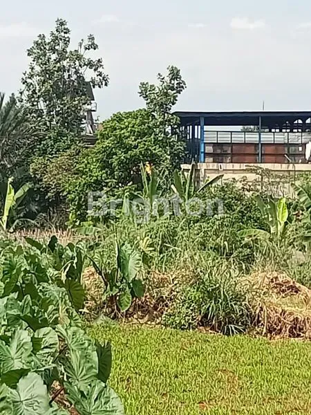 image TANAH LUAS SANGAT STRATEGIS DI PINGIR JALAN RAYA PARUNG (6)