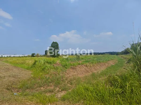 image DIJUAL KAVLING INDUSTRI DALAM KAWASAN KIIC LUAS 15 HA KARAWANG BARAT (1)
