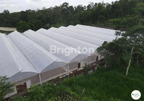 image TANAH PEGUNUNGAN (5)