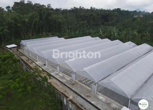 image TANAH PEGUNUNGAN (4)