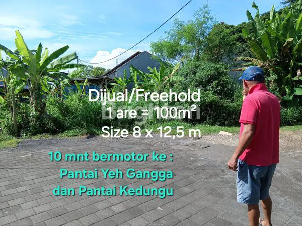 image TANAH DIJUAL DI KEDUNGU TABANAN BALI (8)