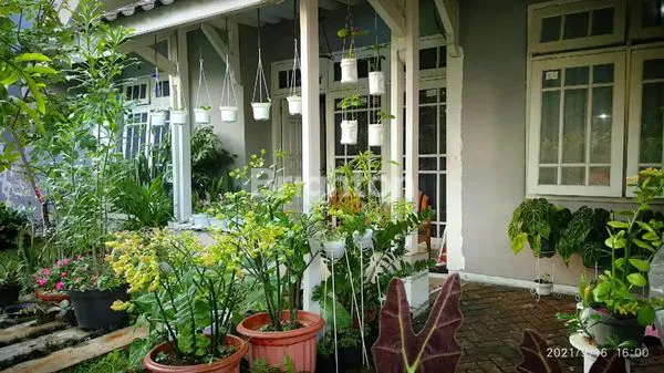 image RUMAH CANTIK DAN TERAWAT DI CLUSTER YANG TENANG DI ARAYA (2)