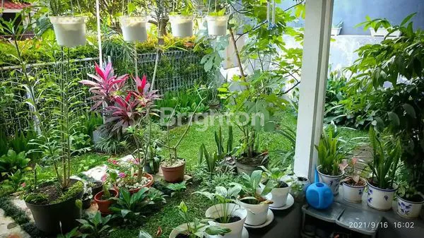 image RUMAH CANTIK DAN TERAWAT DI CLUSTER YANG TENANG DI ARAYA (3)