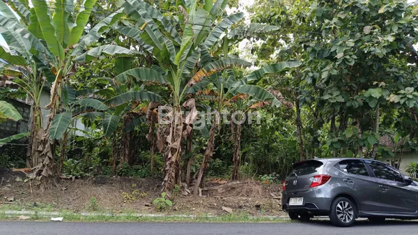 image JUAL CEPAT TANAH PEKARANGAN DI SEDAYU BANTUL DIY (1)