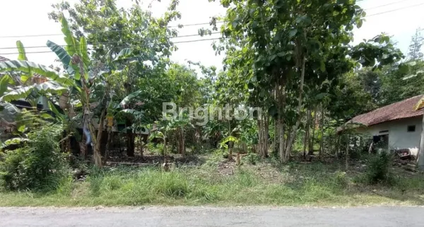 image JUAL CEPAT TANAH PEKARANGAN DI SEDAYU BANTUL DIY (2)