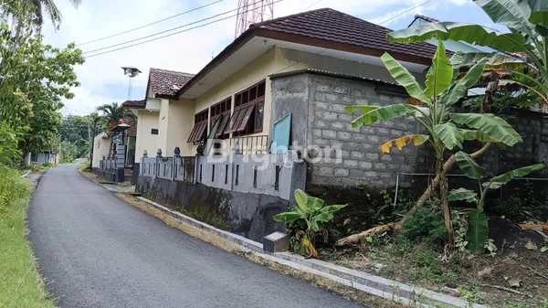 image JUAL CEPAT TANAH PEKARANGAN DI SEDAYU BANTUL DIY (3)