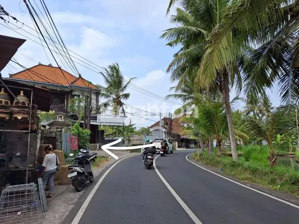 image TANAH STRATEGIS DI GIANYAR, COCOK UNTUK VILLA (2)