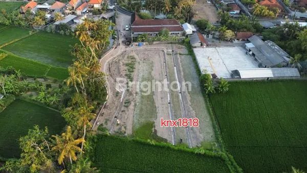 image TANAH STRATEGIS DI GIANYAR, COCOK UNTUK VILLA (5)