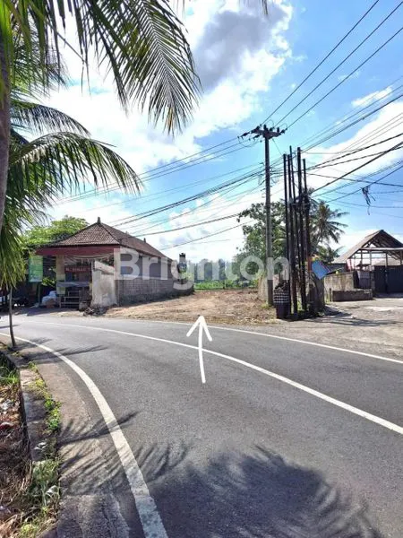 image TANAH STRATEGIS DI GIANYAR, COCOK UNTUK VILLA (1)