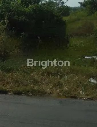 image TANAH DI MENGANTI GRESIK (1)