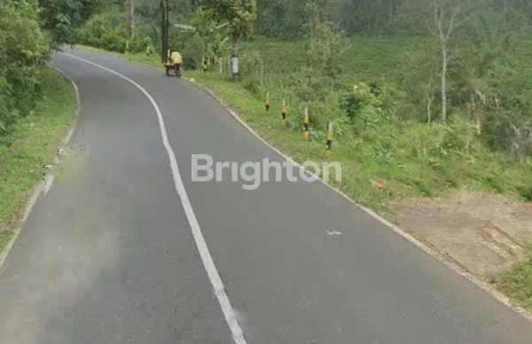 image TANAH PERKEBUNAN 100 - 320 HEKTAR DI TEMANGGUNG (1)