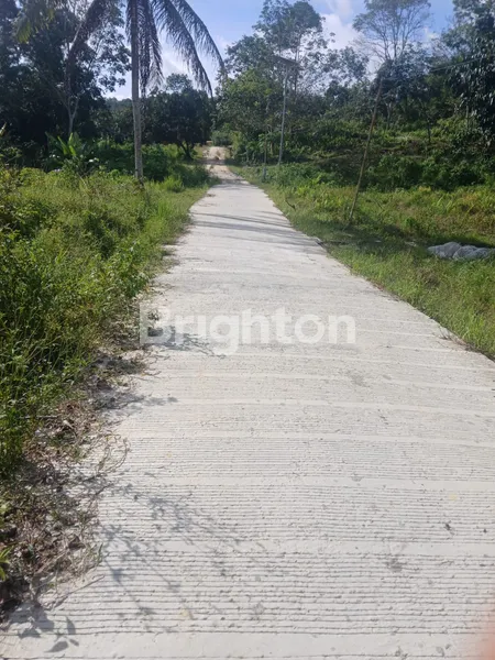 image TANAH LUAS DEKAT OBJEK WISATA (2)