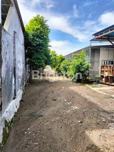 image TANAH LUAS 1020M² DI PARE, STRATEGIS DEKAT KAMPUNG INGGRIS (4)