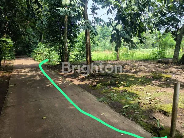 image DIJUAL TANAH MURAH (3)