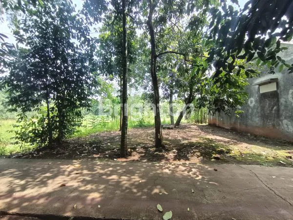 image DIJUAL TANAH MURAH (2)