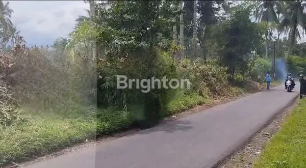 image TANAH NOL JALAN – JABUNG, MALANG (1)