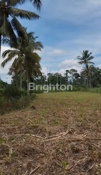 image TANAH NOL JALAN – JABUNG, MALANG (2)