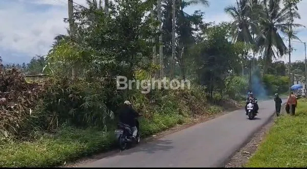 image TANAH NOL JALAN – JABUNG, MALANG (5)