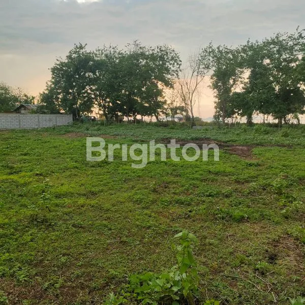 image TANAH MANGGARAI BARAT NUSA TENGGARA TIMUR  (7)