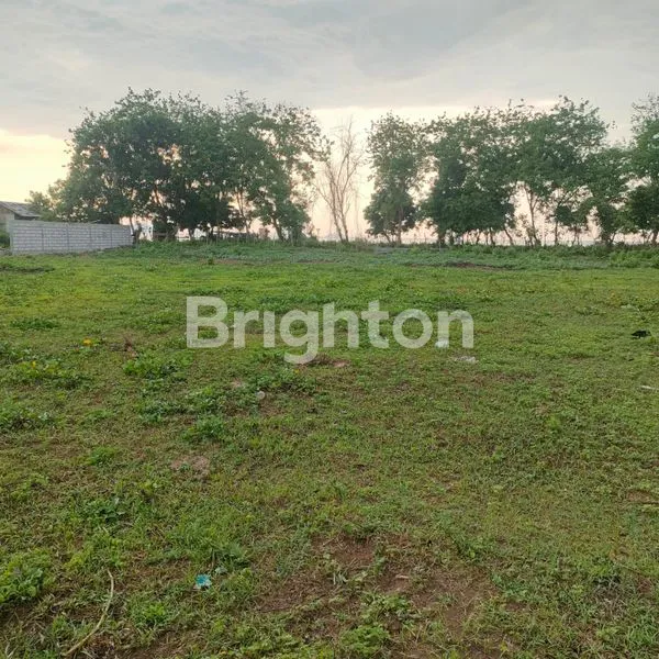 image TANAH MANGGARAI BARAT NUSA TENGGARA TIMUR  (8)