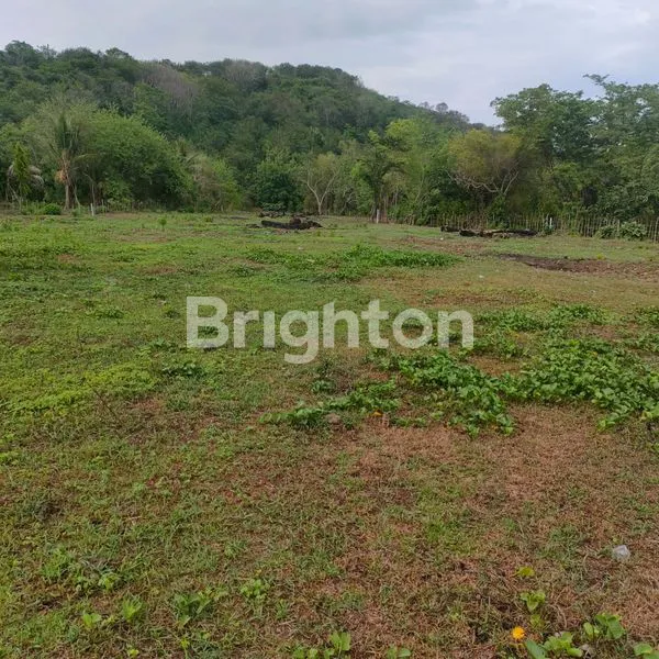 image TANAH MANGGARAI BARAT NUSA TENGGARA TIMUR  (3)