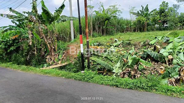 image TANAH LUAS 610M² DI MULYOREJO, MALANG, STRATEGIS (6)