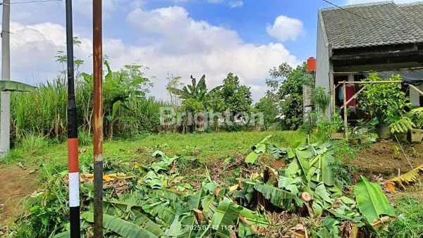 image TANAH LUAS 610M² DI MULYOREJO, MALANG, STRATEGIS (4)