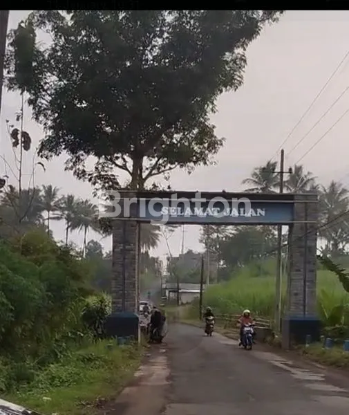 image TANAH DIJUAL  (1)