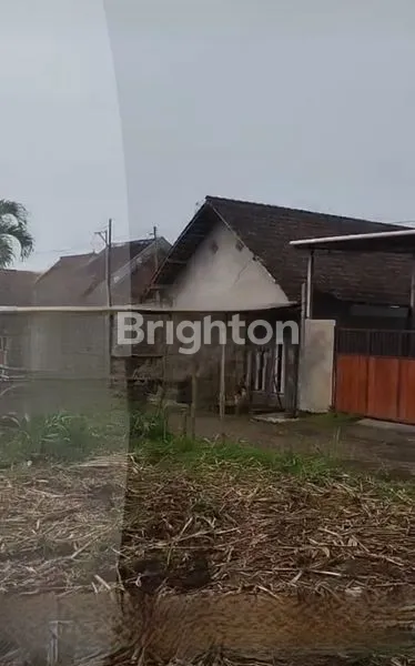 image TANAH DIJUAL  (2)