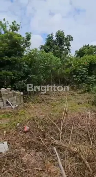 image TANAH PREMIUM DI LOKASI UNGGULAN, 24,2 ARE (1)