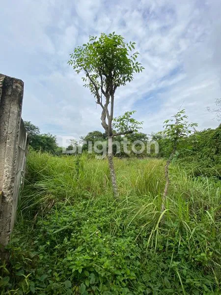 image TANAH KOTAK 800M² DI INTERCON, SIAP BANGUN CLUSTER EKSKLUSIF (2)