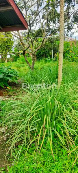 image DIJUAL TANAH  DAN SAWAH  (4)